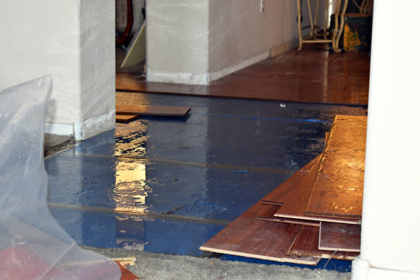 Professional Flood Cleanup technician working in Groveland, ID